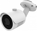 CCTV-камера Ginzzu HAB-2031S