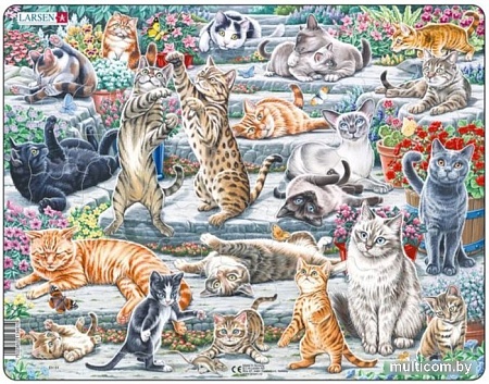 Пазл Larsen Кошки FH51