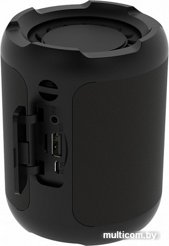 Беспроводная колонка Ritmix SP-290B