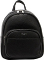 David Jones 823-CM6921-BLK (черный)