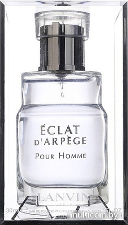 Туалетная вода Lanvin Eclat d'Arpege Pour Homme EdT (30 мл)