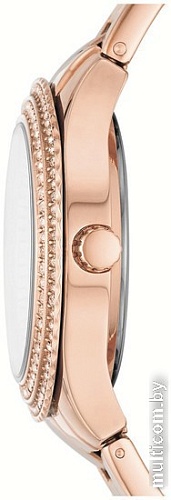 Наручные часы Fossil Stella ES5136