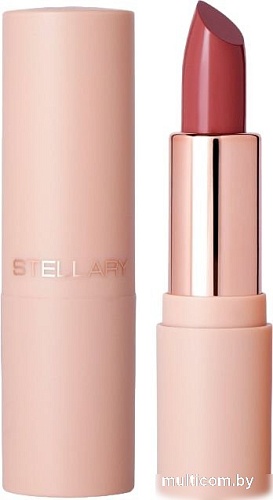Декоративная косметика для губ Stellary Увлажняющая с гиалуроновой кислотой тон 05 светло-коричневый (4г)