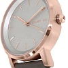Наручные часы DKNY NY2341