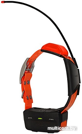 Туристический навигатор Garmin Alpha 100 с ошейником T5