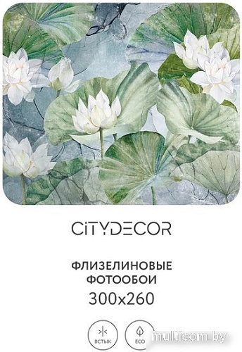 Фотообои Citydecor Blossom 26 300x260
