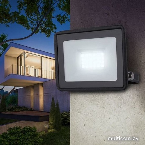 Уличный прожектор ЭРА LPR-023-0-30K-030