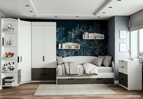 ДСВ Лавис СД 450.1 (белый/белый софт/графит софт)