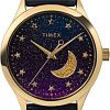 Наручные часы Timex TW2V49300