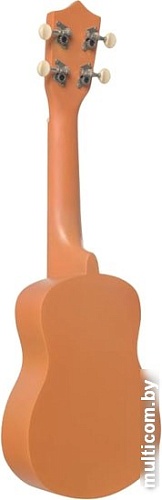 Укулеле Terris JUS-20 Banana