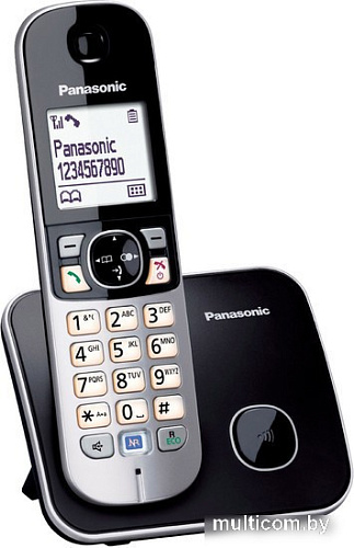 Радиотелефон Panasonic KX-TG6811UAB