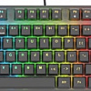 Клавиатура Genesis Thor 300 TKL RGB