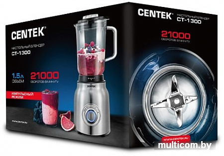 Стационарный блендер CENTEK CT-1300