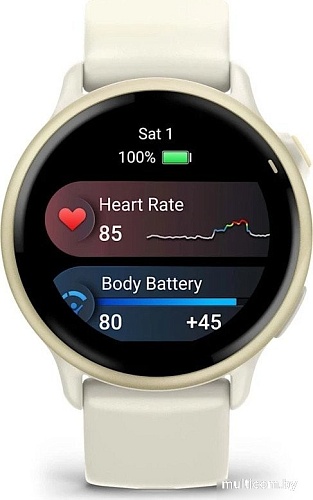 Умные часы Garmin Vivoactive 6 (лунное золото)