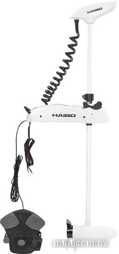 Лодочный мотор Haibo iPenguin P65 GPS