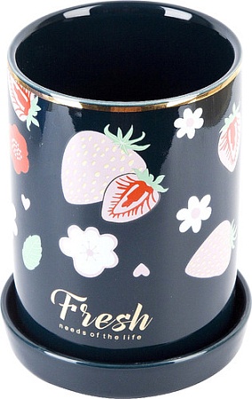 Nouvelle Fresh 1760186-2