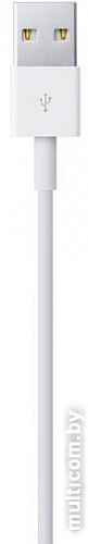 Кабель Apple Lightning to USB 1 м (белый) [MD818ZM/A]