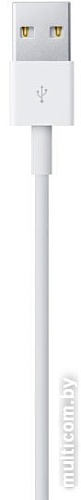 Кабель Apple Lightning to USB 1 м (белый) [MD818ZM/A]