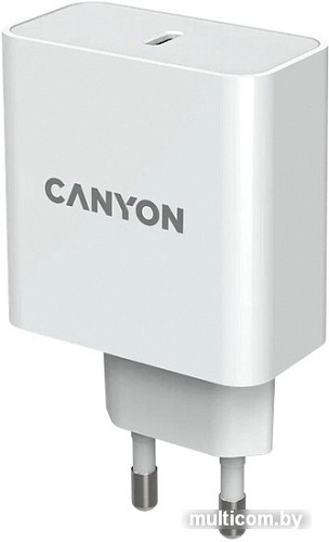 Сетевое зарядное Canyon CND-CHA65W01