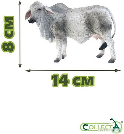 Collecta Корова Брахмана 88580b