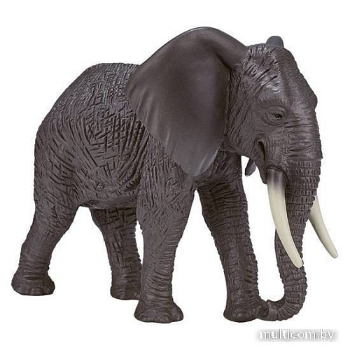 Фигурка Konik Африканский слон Самка AMW2090