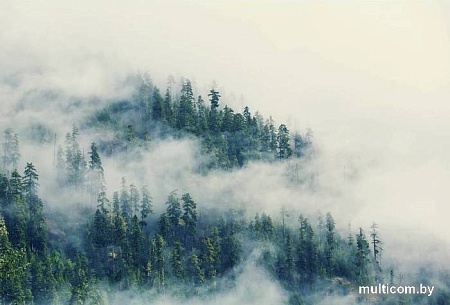 Фотообои Vimala Лес в тумане 2 270x400