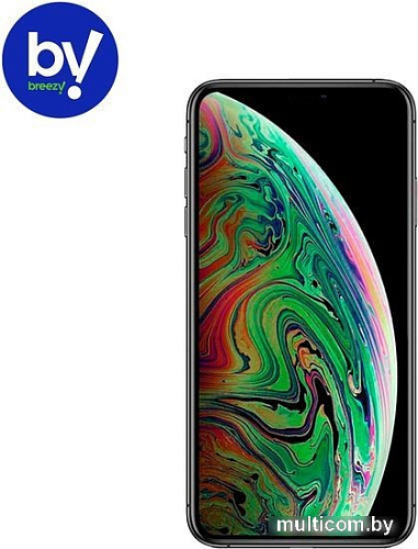 Смартфон Apple iPhone XS Max 64GB Восстановленный by Breezy, грейд B (серый космос)