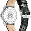 Наручные часы Citizen EW3260-17A