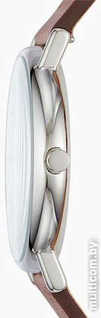 Наручные часы Skagen SKW6427