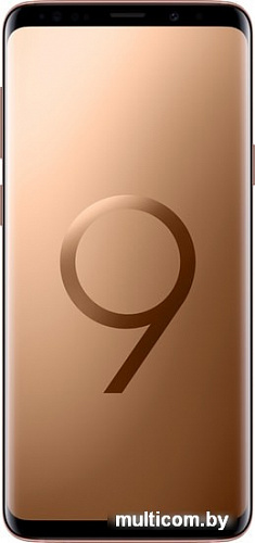 Смартфон Samsung Galaxy S9+ Dual SIM 64GB Exynos 9810 (золотистый)