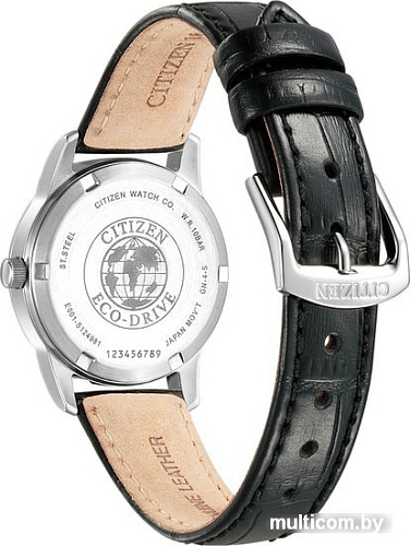 Наручные часы Citizen EW3260-17A