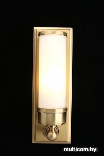 Бра Aployt Rin APL.804.01.01