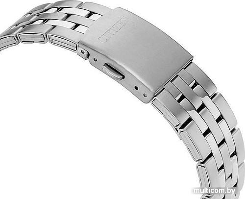 Наручные часы Citizen BF2011-51L