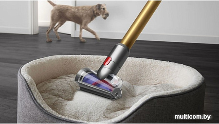 Пылесос Dyson V12 Detect Slim Absolute