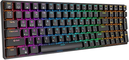 Клавиатура Royal Kludge RK100 RGB (черный, RK Red)
