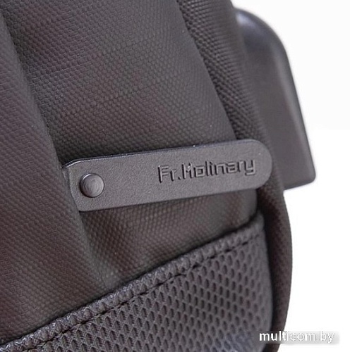 Городской рюкзак Francesco Molinary 304-GXB00124-BLK (черный)