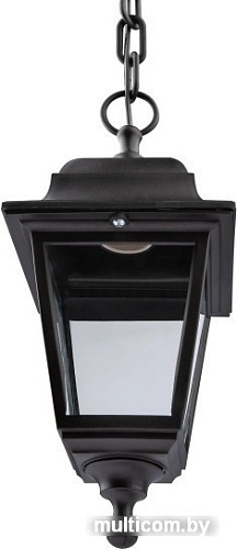 Уличный подвесной светильник ЭРА НСУ 04-60-001 Б0048105