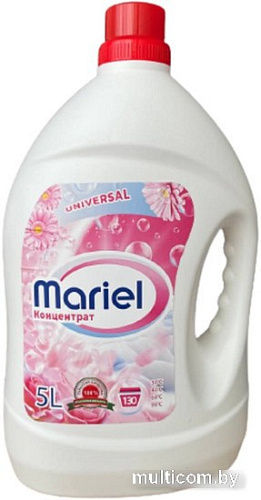 Гель для стирки Factory Ksonas Mariel Universal (5л)