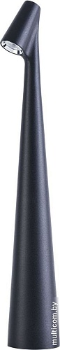 Настольная лампа Arte Lamp Fusion A3283LT-2BK