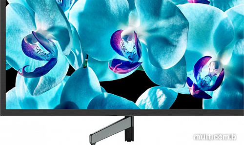 Телевизор Sony KD-65XG8096