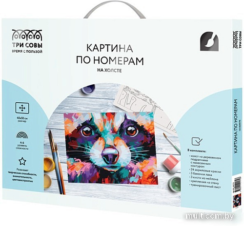 Картина по номерам Три совы Енот КХ_44174
