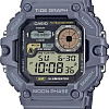 Наручные часы Casio WS-1700H-8A