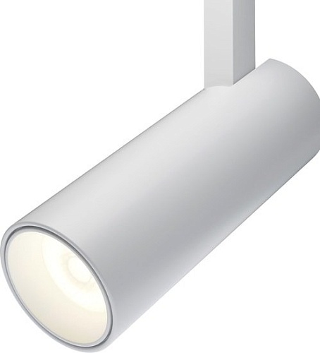 Точечный светильник Maytoni TR019-2-10W3K-W