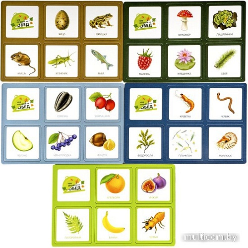 Развивающая игра Bondibon Лото. Что сегодня на обед? ВВ4879