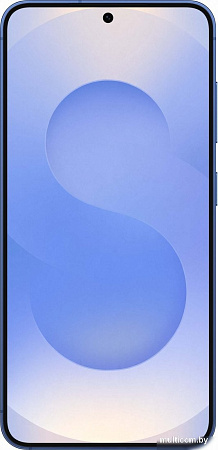 Samsung Galaxy S25 SM-S931B 12GB/256GB (синий)