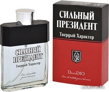 Positive Президент Твердый Характер EdT (95 мл)