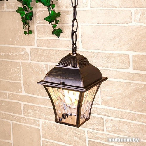 Уличный подвесной светильник Elektrostandard Apus H GL 1009H (черное золото)