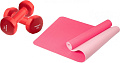 Набор для йоги Sundays Fitness Гантель IR92005 2x1кг + Коврик IR97503 (красный, розовый)