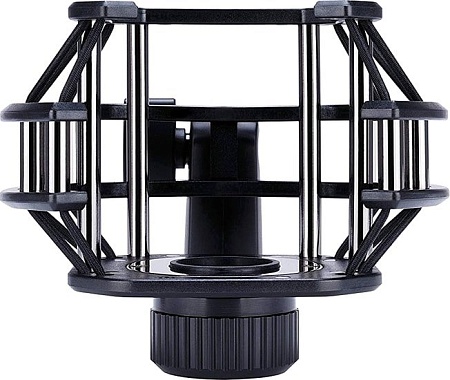 Микрофон Lewitt LCT 550