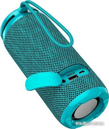 Беспроводная колонка Borofone BR24 (бирюзовый)